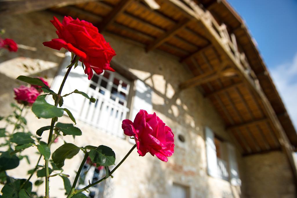 Le Poutic Gite Et Maison D'Hotes Creon-d'Armagnac Kültér fotó